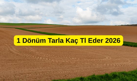 Dönüm Ne Demek? 1 Dönüm Tarla Ne Kadar Eder? 1 Dönüm Tarla Kaç TL Eder 2026? 1 Dönüm Tarla Fiyatları