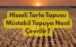 Hisseli Tarla Tapusu Müstakil Tapuya Nasıl Çevrilir?
