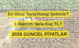 En Ucuz Tarla Hangi Şehirde? 1 Dönüm Tarla Kaç TL?